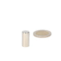 Silver-coloured neodymium rod magnet 10x20 mm n48 next to coin for case of powerful magnets for multi-purpose use