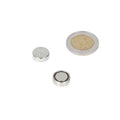 Silver-coloured pot magnet 13 x 4.5 mm with powerful magnets for strong magnetic attachment next to euro coin by shell