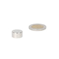 Silver disc magnet 15 x 8 mm of neodymium next to coin for shell with powerful neodymium magnet various applications
