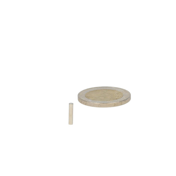 Bimetallic silver gold coin next to cylindrical rod magnet 2 x 10 mm which magnet provides high magnetic strength