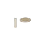 Silver high-grade neodymium magnet rod magnet 5 x 20 mm next to euro coin by shell