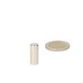 Silver rhodium rod magnet 8 x 20 mm next to coin for shell, powerful magnets with diverse applications and powerful performance
